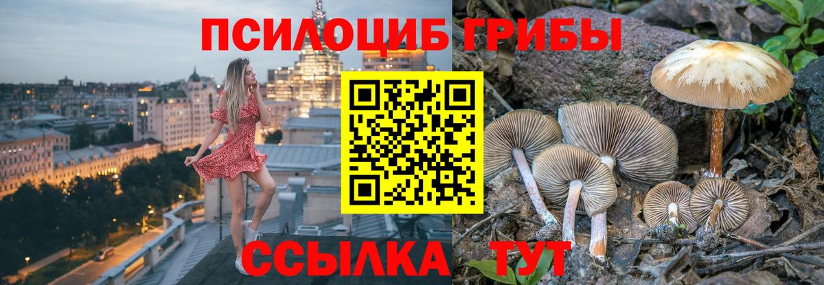 Нижний Тагил  Галлюциногенные грибы GOLDEN TEACHER  Вход с VPN 